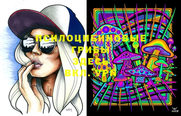 бошки Вязьма