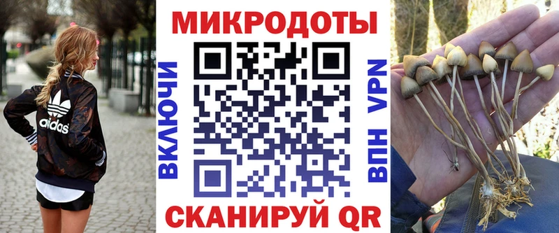 Псилоцибиновые грибы ЛСД  Жигулёвск 
